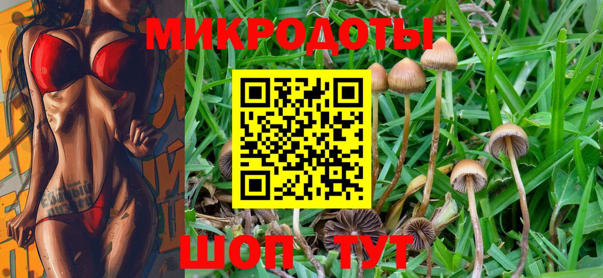 Галлюциногенные грибы MAGIC MUSHROOMS Сухой Лог